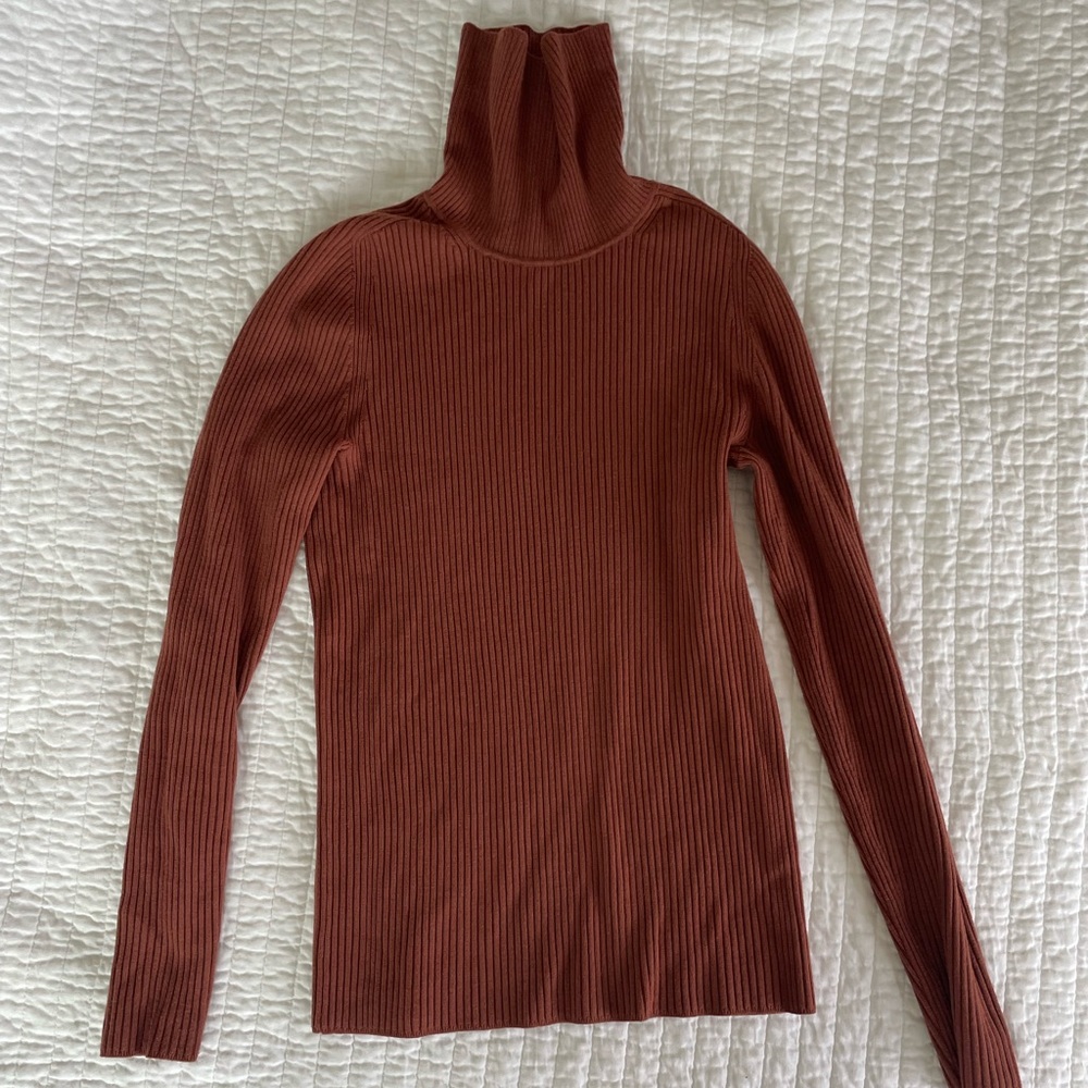 Everlane Wool-blend Turtleneck